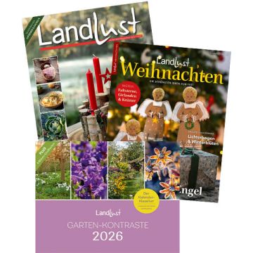 Jahresabo mit Weihnachtsheft
