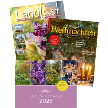 Jahresabo mit Weihnachtsheft