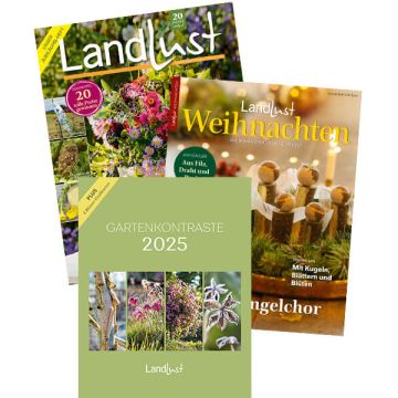Geschenkabo mit Weihnachtsheft