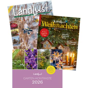 Jahresabo mit Weihnachtsheft